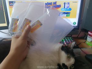 Dao trét nhựa Thành Công