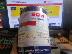 Sơn dầu trắng Hải Phòng 5 Kg