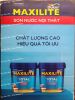 son-nuoc-noi-that-maxilite-total-be-mat-mo-15l - ảnh nhỏ 2