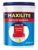 maxilite-kinh-te - ảnh nhỏ  1